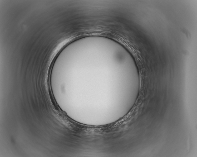 X0000110890147200906181013