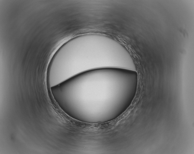 X0000110890148200906181013