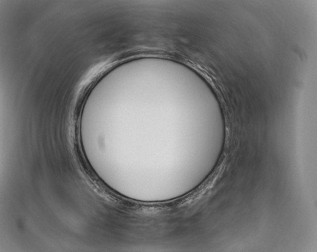 X0000110890149200906181013