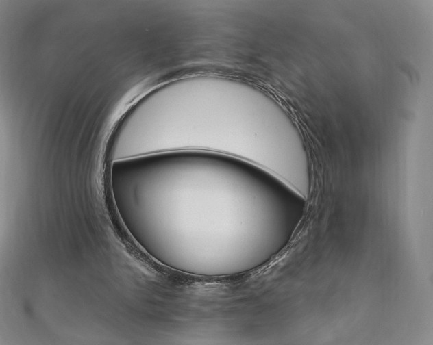 X0000110890150200906181013
