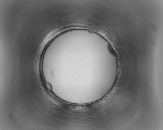 X0000110890151200906181013