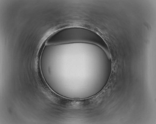 X0000110890152200906181013