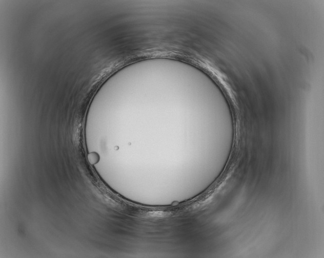 X0000110890153200906181013