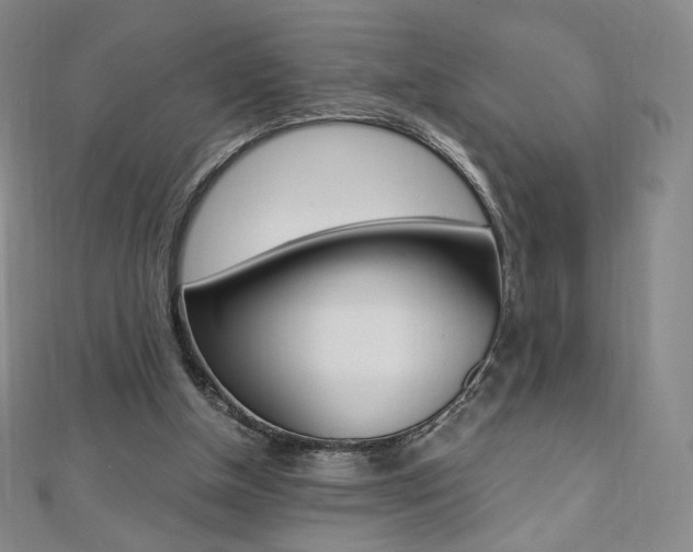 X0000110890154200906181013