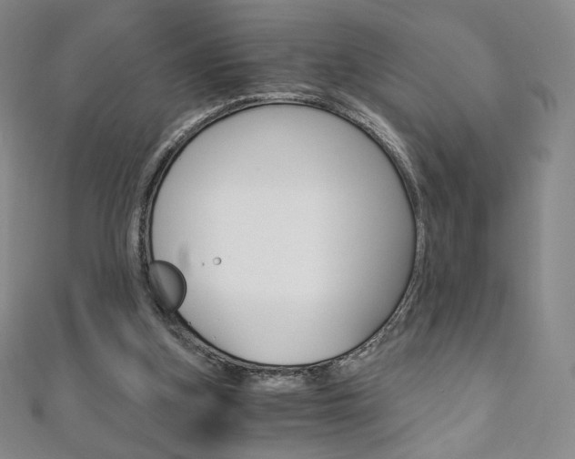 X0000110890155200906181013