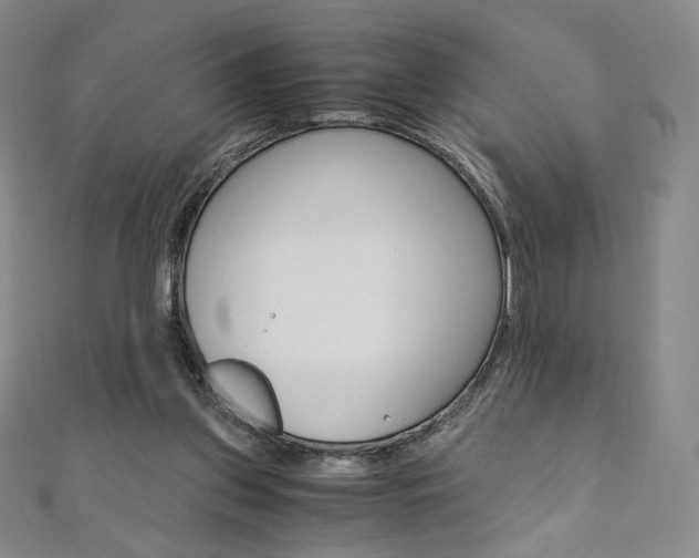 X0000110890157200906181013