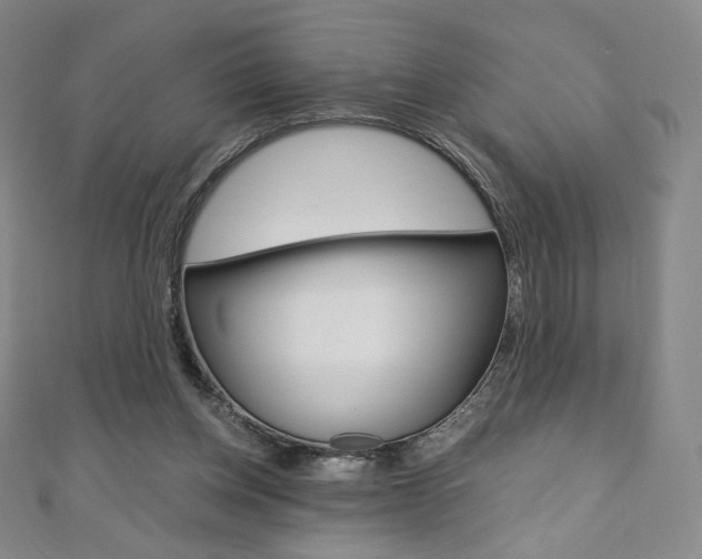 X0000110890158200906181013