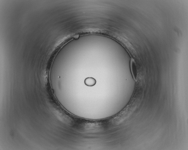 X0000110890160200906181013