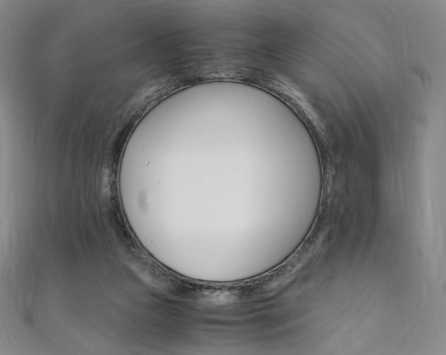 X0000110890161200906181013