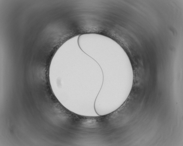 X0000110890162200906181013