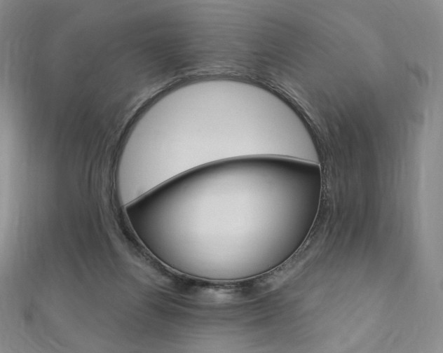X0000110890164200906181013