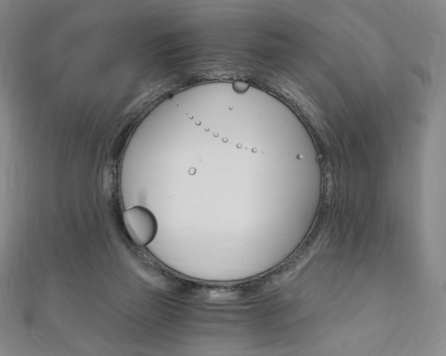 X0000110890165200906181013