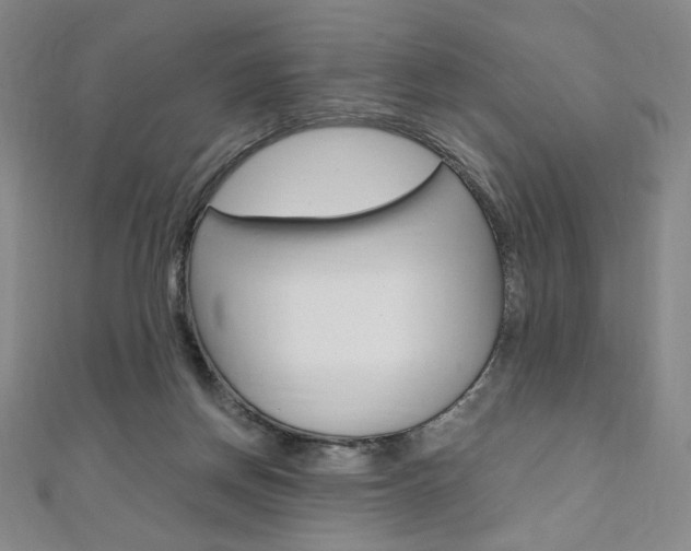 X0000110890166200906181013