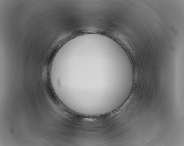 X0000110890167200906181013