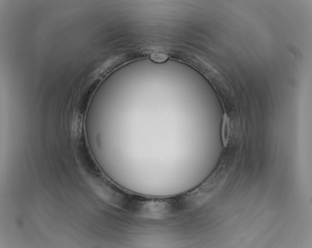 X0000110890168200906181013