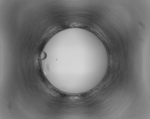 X0000110890169200906181013