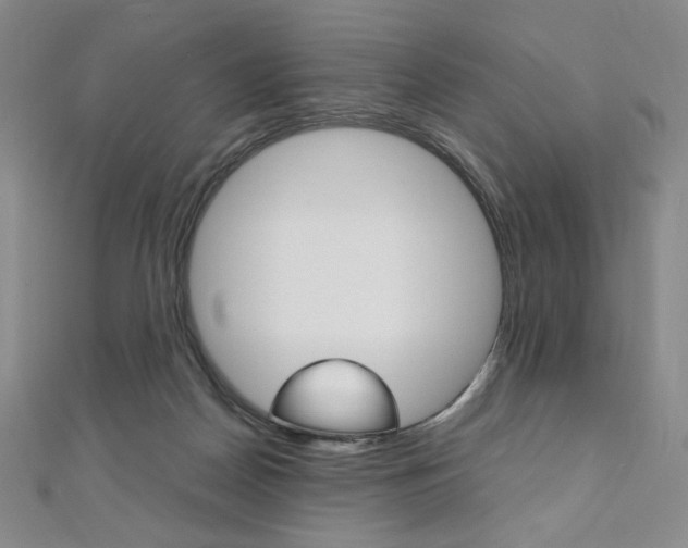 X0000110890170200906181013