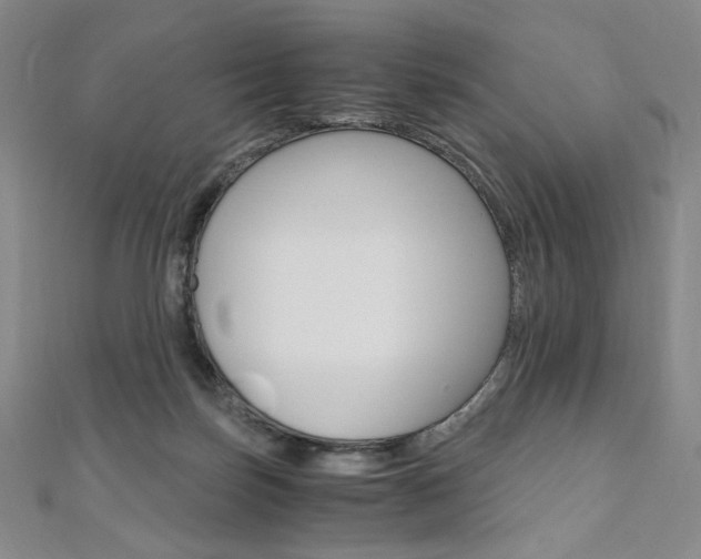 X0000110890171200906181013