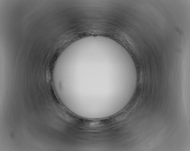X0000110890173200906181013