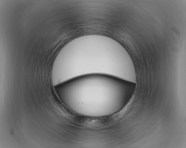 X0000110890174200906181013