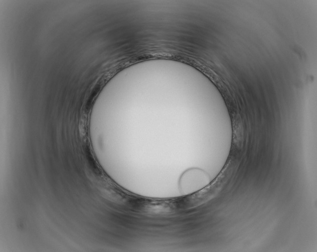 X0000110890175200906181013
