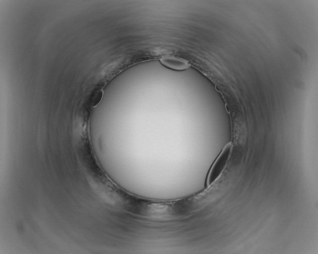 X0000110890176200906181013