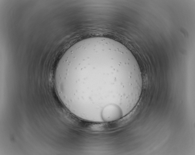 X0000110890178200906181013