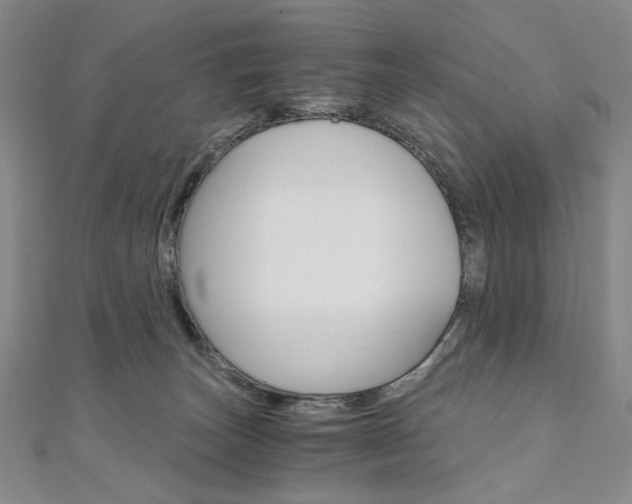 X0000110890179200906181014