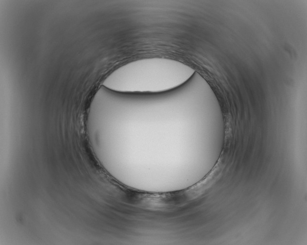 X0000110890182200906181014