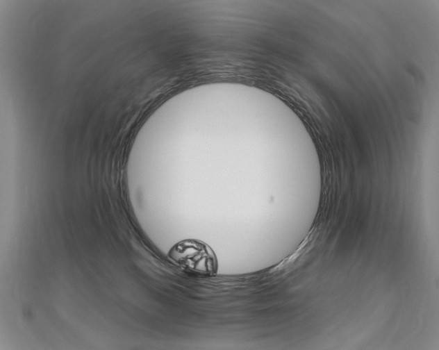X0000110890184200906181014