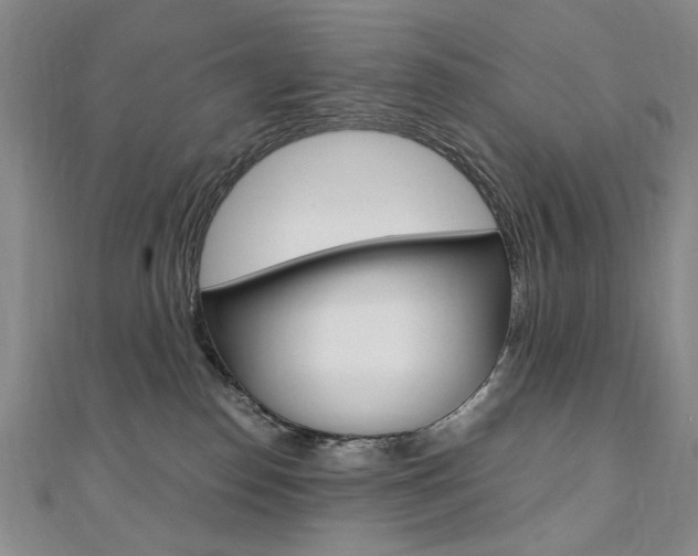 X0000110890186200906181014