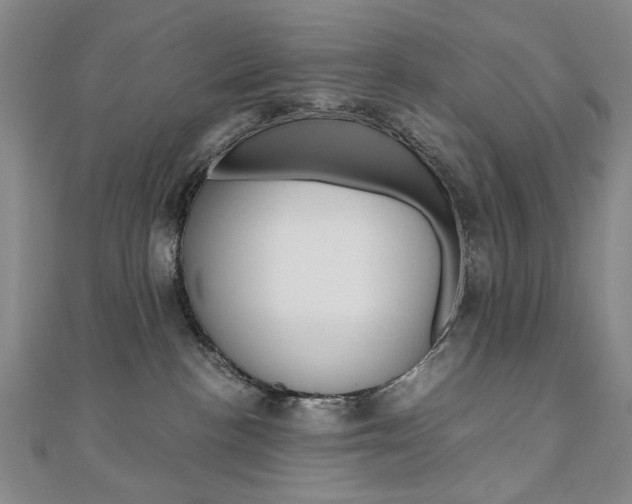 X0000110890188200906181014