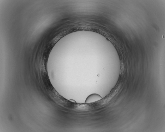 X0000110890189200906181014