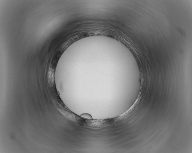 X0000110890191200906181014