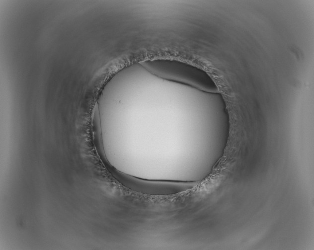 X0000110890192200906181014
