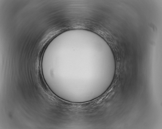 X0000110890194200906181013