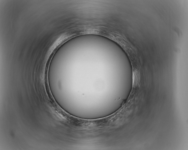 X0000110890195200906181013