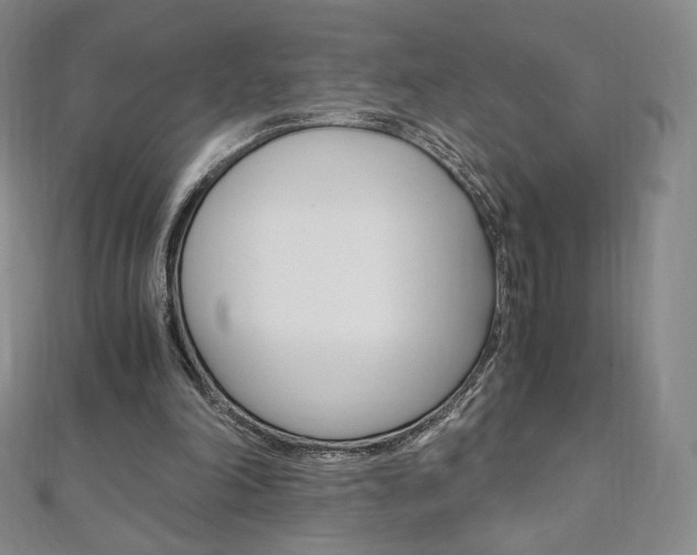 X0000110890198200906181013