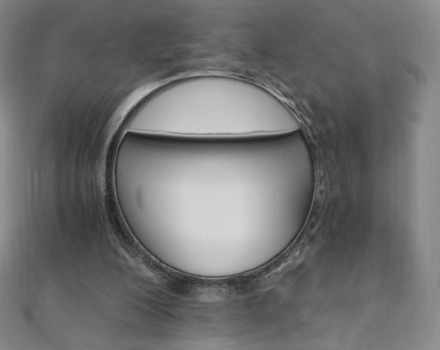 X0000110890200200906181013