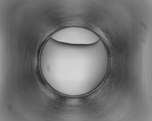X0000110890202200906181013