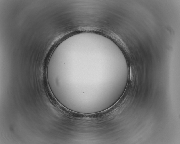 X0000110890204200906181013