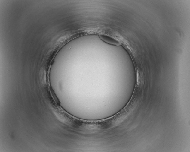 X0000110890205200906181013