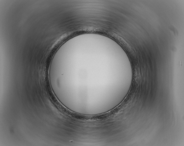 X0000110890208200906181013
