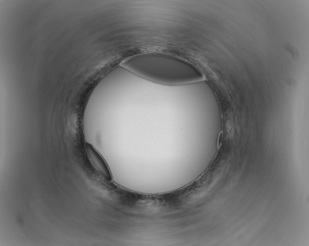X0000110890211200906181013
