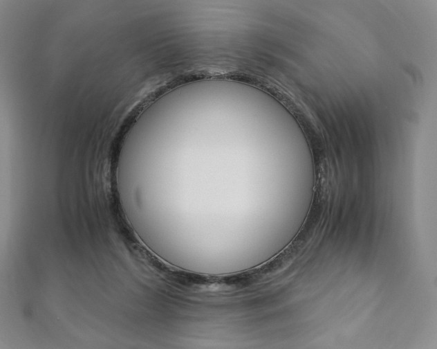 X0000110890212200906181013