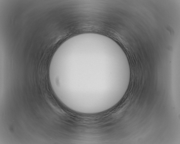 X0000110890215200906181013