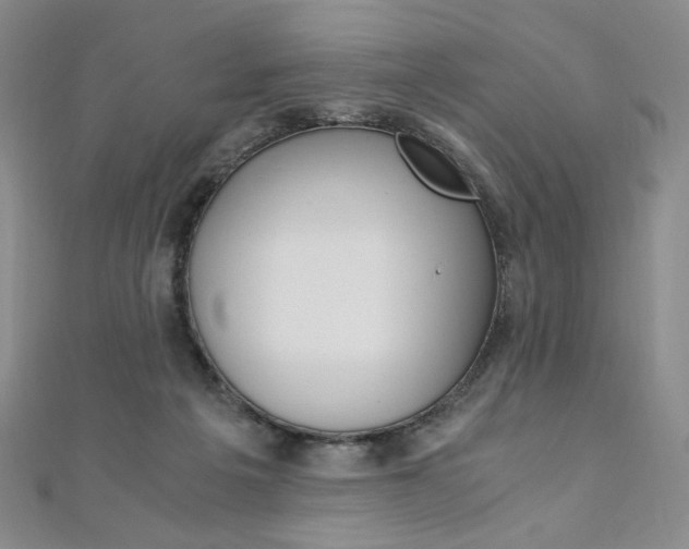 X0000110890217200906181013