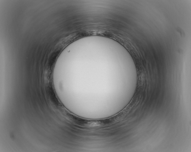 X0000110890218200906181013