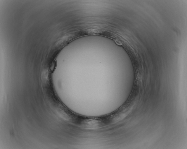 X0000110890219200906181013