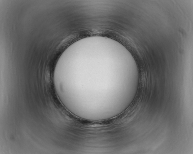 X0000110890220200906181013